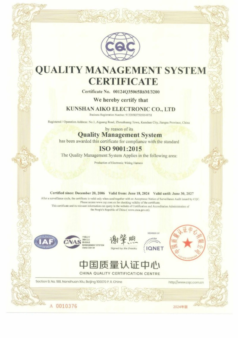 ISO 9001